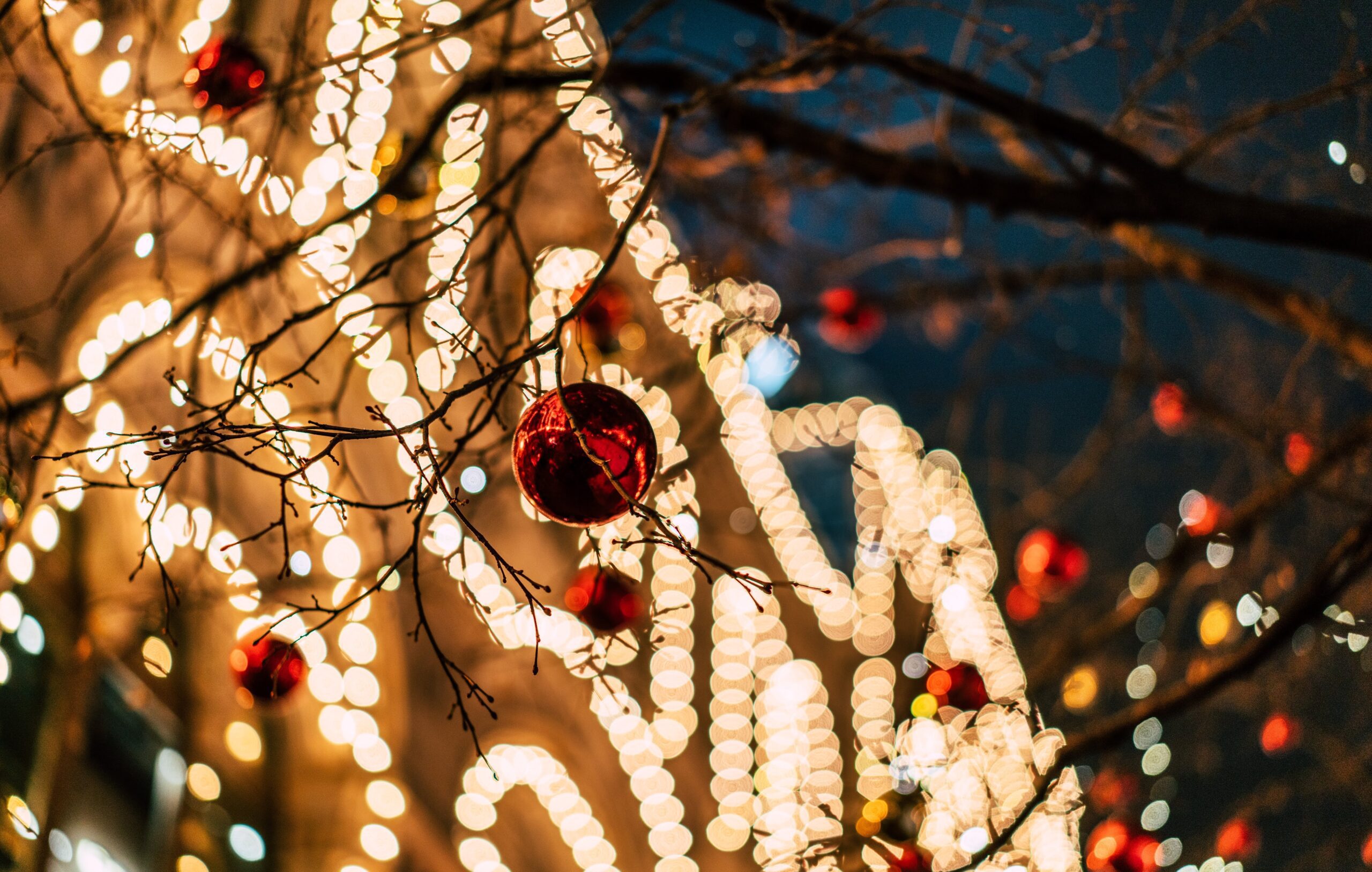 christmas-decoration-and-christmas-lights-2024-12-04-21-44-18-utc (1)